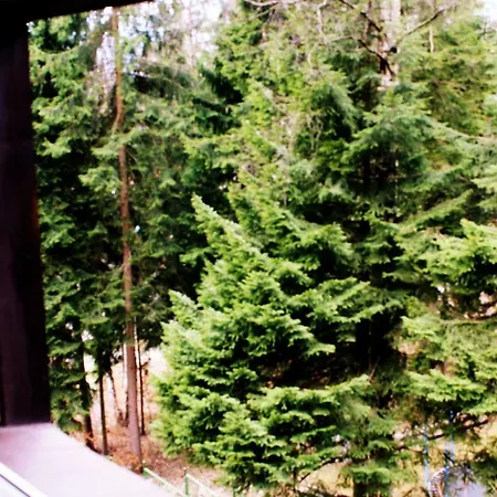 בית אירוח Sela *